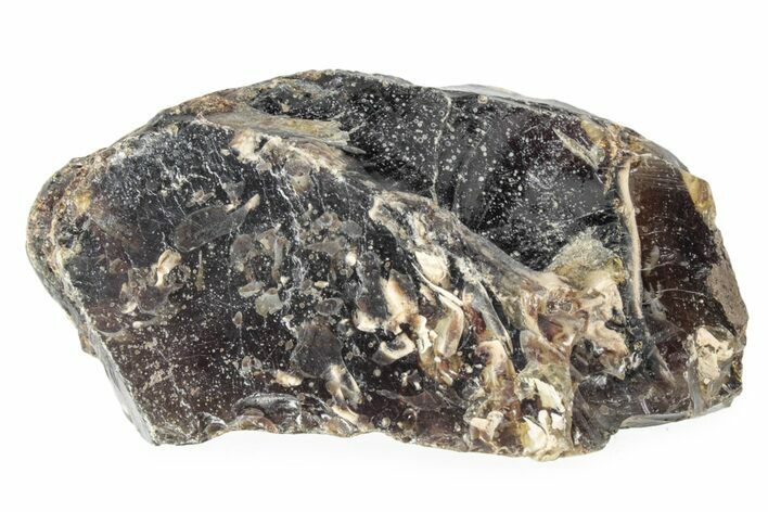 Rough Blue Indonesian Amber - Indonesia #359628